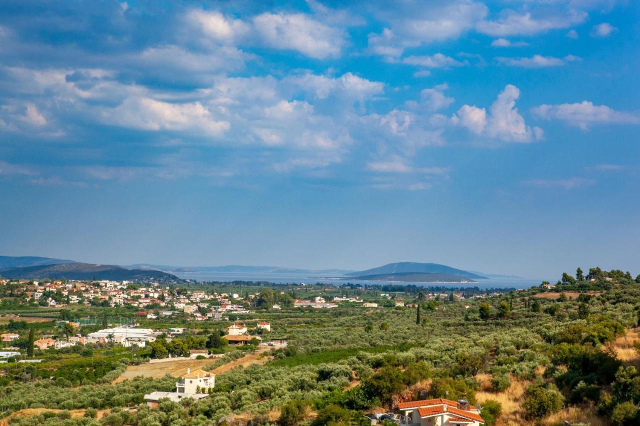 Aeolus Luxury Apartment - I Nafplio Luaran gambar
